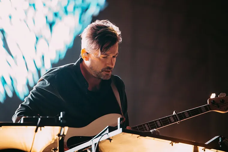 Authentic photograph of Bonobo